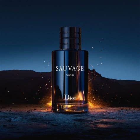 nouveau parfum dior sauvage homme|Dior Sauvage best price.